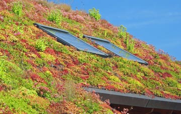 Staxton living roof systems